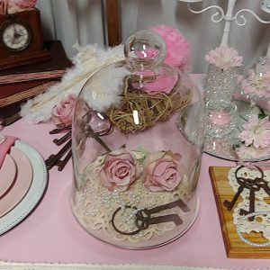 Cake domes Springs