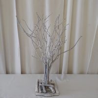 White trees Boksburg