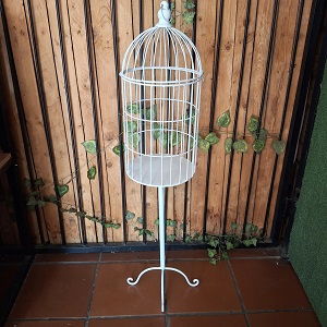 Bird cages for weddings Boksburg