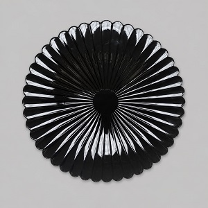 BLACK UNDERPLATE