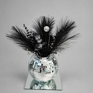 mirror ball with black feathers