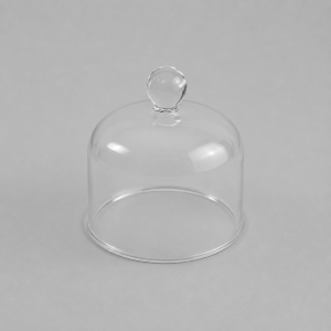 Glass dome