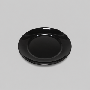 Black dinner plate