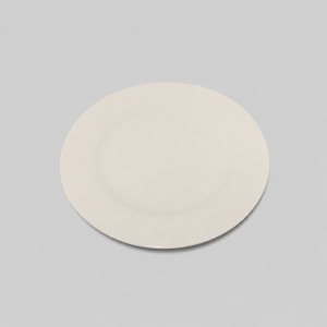 White dinner plate
